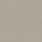 Titanium Silver